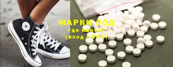прущие грибы Гусиноозёрск