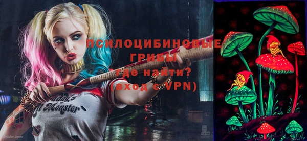 сатива Горнозаводск