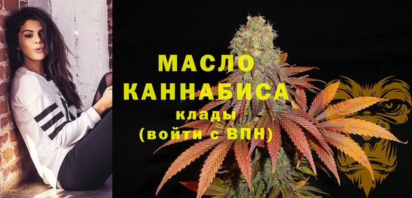 твердый Гусь-Хрустальный