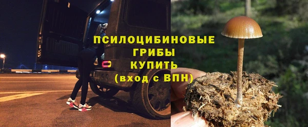 твердый Гусь-Хрустальный