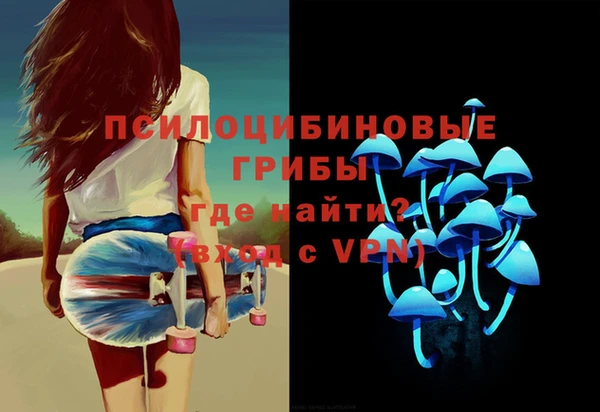 прущие грибы Гусиноозёрск