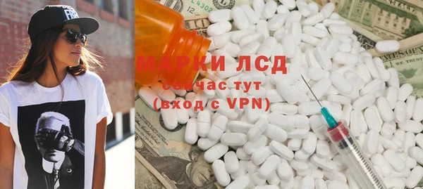 прущие грибы Гусиноозёрск