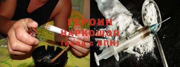 прущие грибы Гусиноозёрск