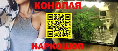 гашиш Гай
