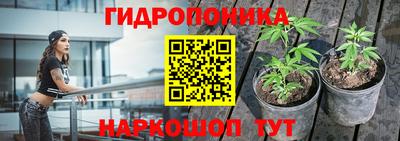 прущая мука Гатчина