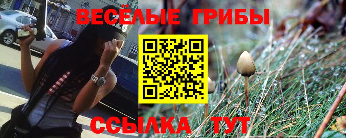 Псилоцибиновые грибы мухоморы  Вход с VPN  Галлюциногенные грибы MAGIC MUSHROOMS  Гулькевичи 